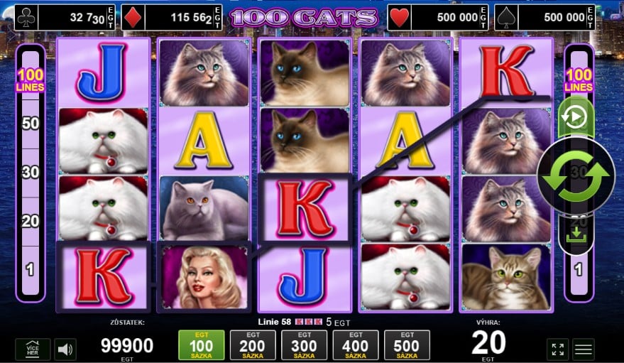100 Cats