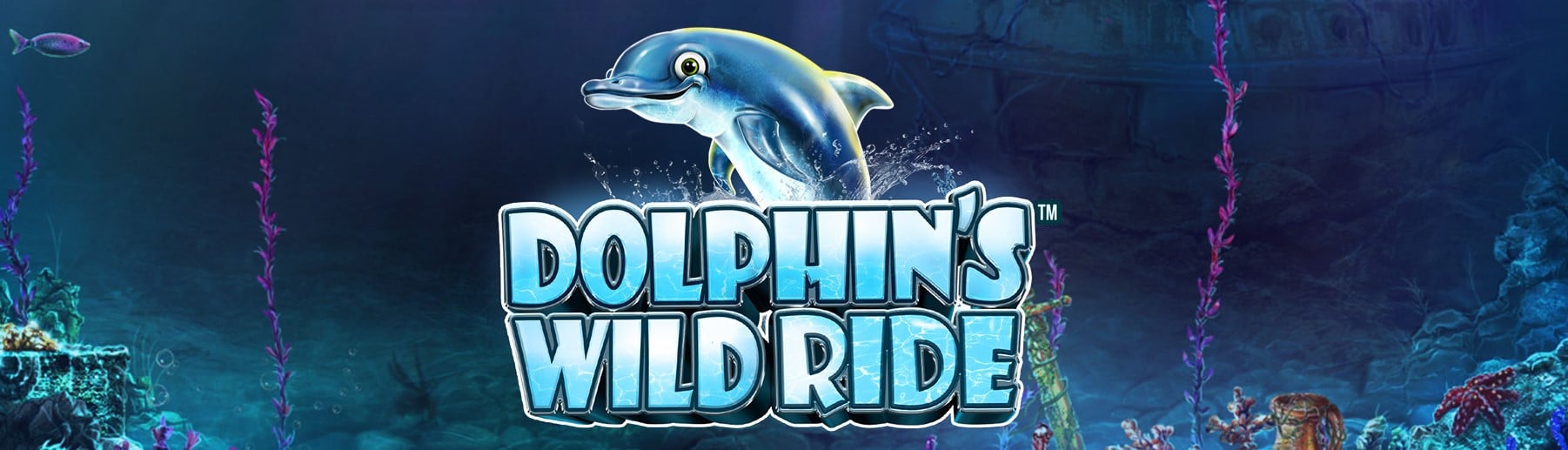 Dolphin's Wild Ride