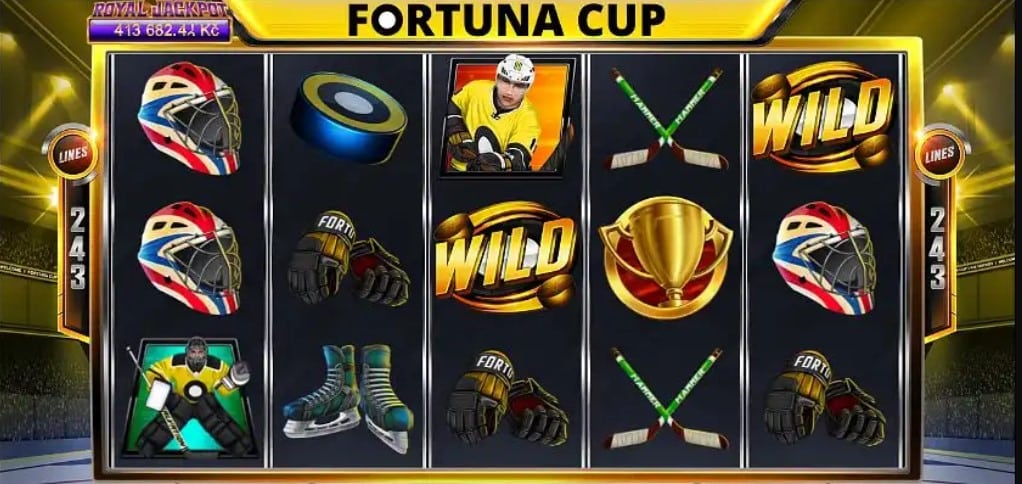fortuna cup automat 263