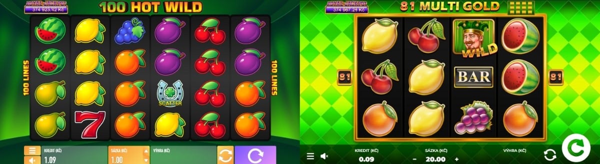 Hry 100 Hot Wild a 81 Multi Gold