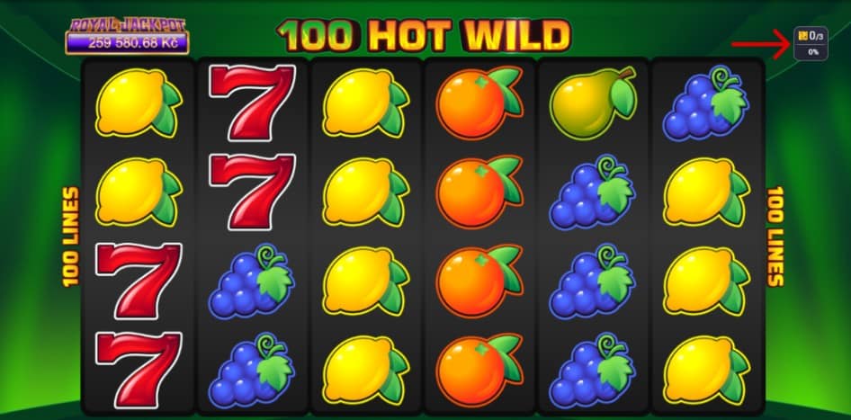 100 Hot Wild automat