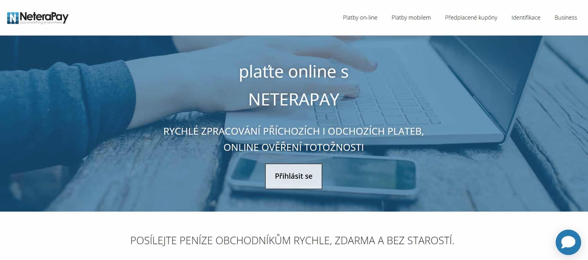 Neterapay web