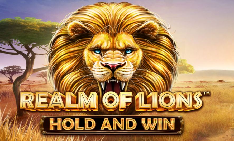 Real Of Lions od Synotu