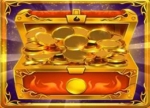 Collector Hot Slot Gold Coins